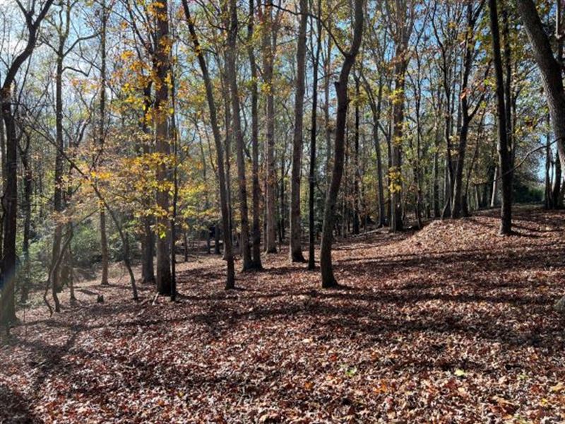 Belton Farm Land & Homesite : Belton : Anderson County : South Carolina