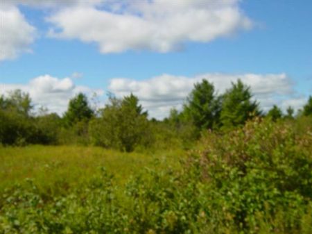 Tbd Bob White Road Mls 1055560 : Haight : Ontonagon County : Michigan