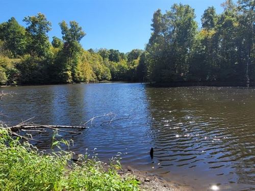 200 Ac on The Bluff With Large Lake : Henning : Lauderdale County : Tennessee