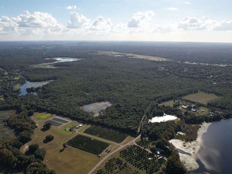 Inverness Waterfront Acreage, Farm for Sale in Florida, 337611 FARMFLIP