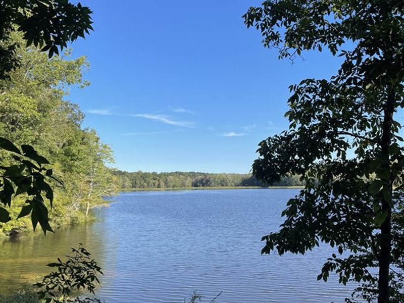 Warrenton City Pond : Warrenton : Warren County : Georgia