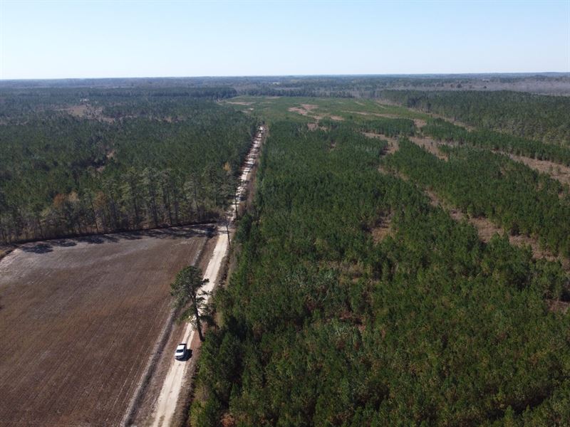 Ann Road West Tract : Lumberton : Robeson County : North Carolina