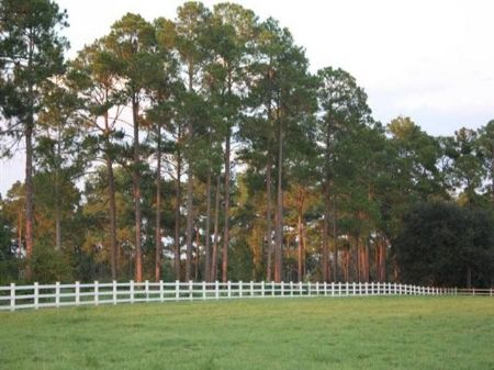 Easter Plantation : Dixie : Brooks County : Georgia