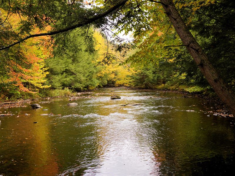 82 Acres with 1300 ft of River : Pulaski : Oswego County : New York
