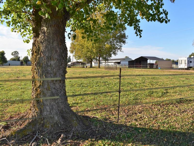 Benton Horse Farm : Benton : Bossier Parish : Louisiana