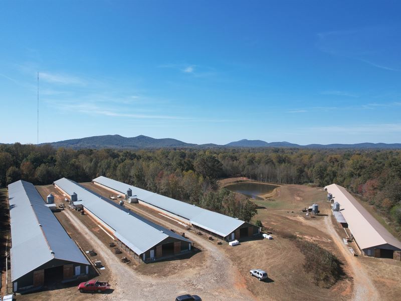 4 House Poultry Pullet Farm, Farm for Sale in 337834 FARMFLIP