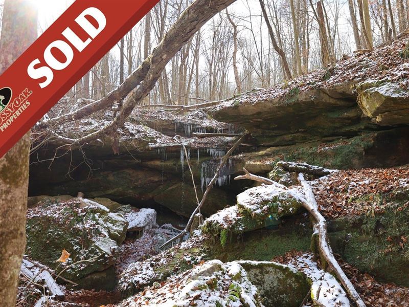TR 47, 99 Acres, Coshocton County : Coshocton : Coshocton County : Ohio