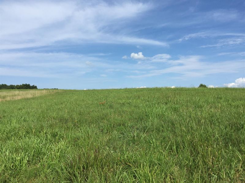 Add Your TN Acreage Home : Primm Springs : Williamson County : Tennessee