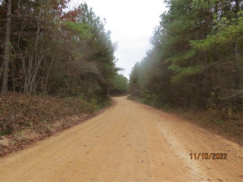 Homesites, Timber Investment & Hunt, Farm for Sale in Alabama, 337966