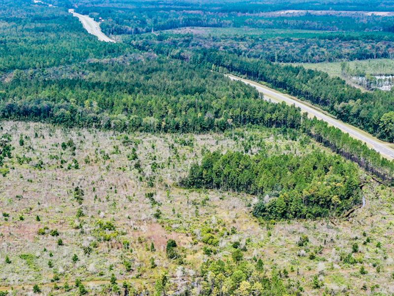 Ware County, GA 33 Acres, Farm for Sale in 337976 FARMFLIP