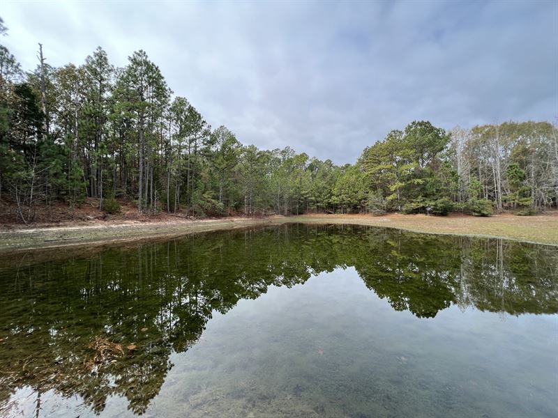 9 Ac in Lee County : Opelika : Lee County : Alabama