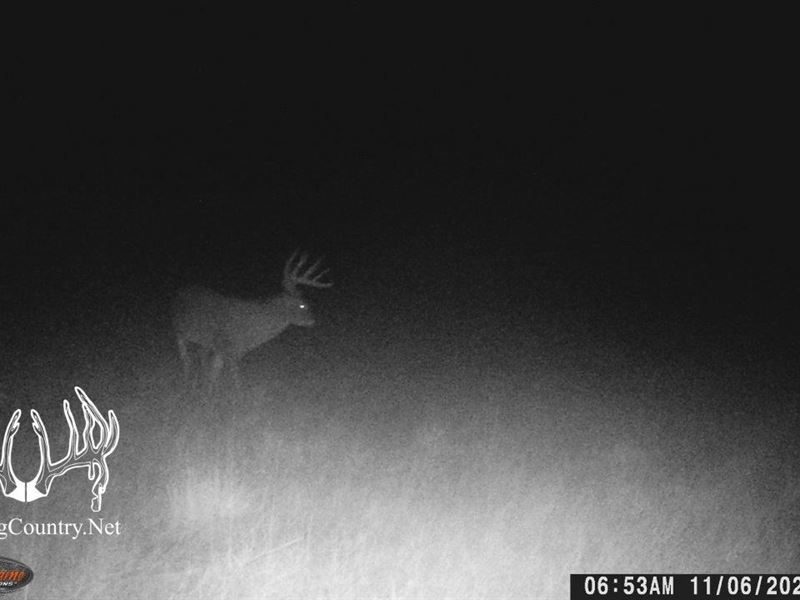 160 Acres M/L, Meade County, Kansas, Farm for Sale in Kansas, 338149