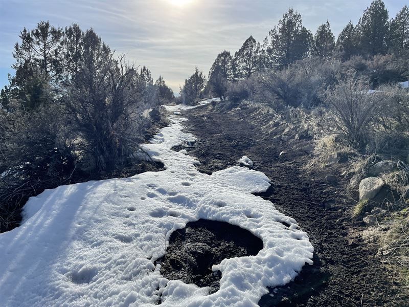 Heaven for Hunters : Sprague River : Klamath County : Oregon