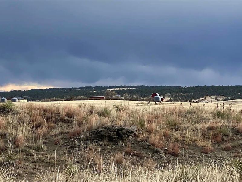 Hoyt Ranch, Farm for Sale in Montana, 338259 FARMFLIP