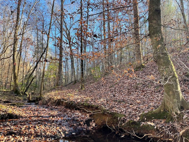50 Acres Near New Site : Alexander City : Tallapoosa County : Alabama