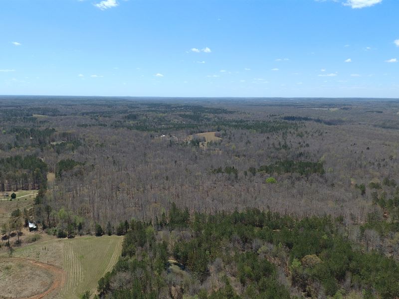 Hunting Land with Creek in TN, Farm for Sale in Tennessee, 338298