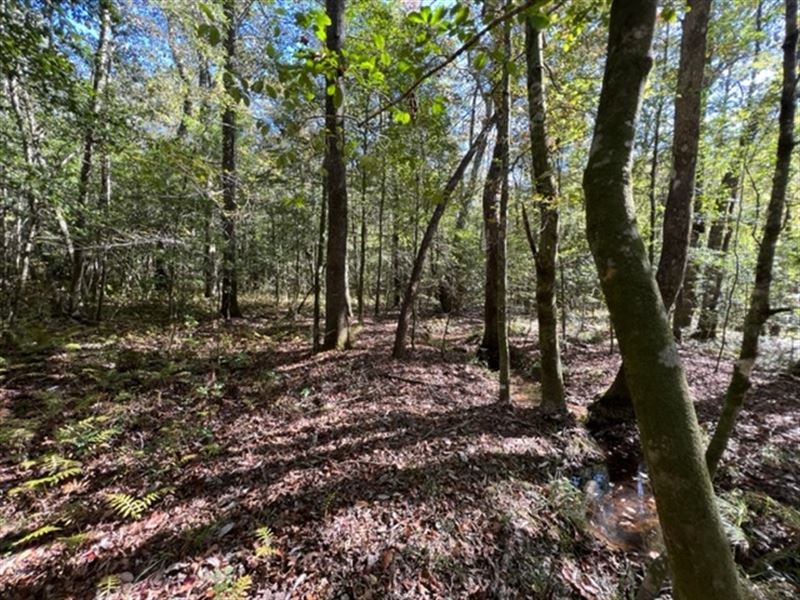 La, Ouachita 80 Acres : West Monroe : Ouachita Parish : Louisiana