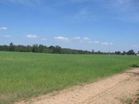 35 Acre Hay Field : Swainsboro : Johnson County : Georgia