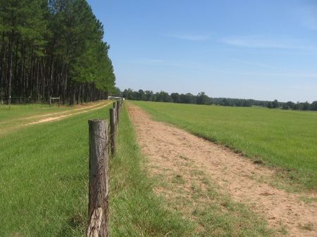 40 Acres Of Pasture : Swainsboro : Johnson County : Georgia