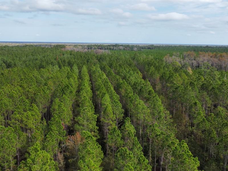 Penholloway Creek, Farm for Sale in 338442 FARMFLIP