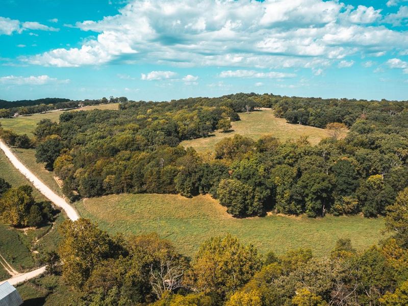 Westphalia Ridge Tract 7 : Freeburg : Osage County : Missouri