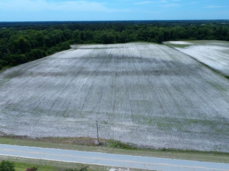 Nice Farm with Home Sites : Fairmont : Robeson County : North Carolina