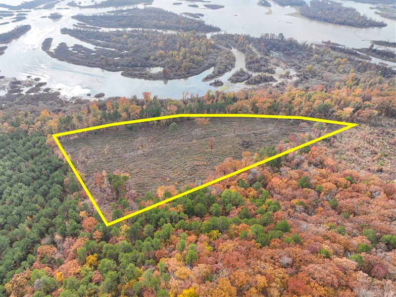 14 Acres Off FM 729 : Lone Star : Morris County : Texas
