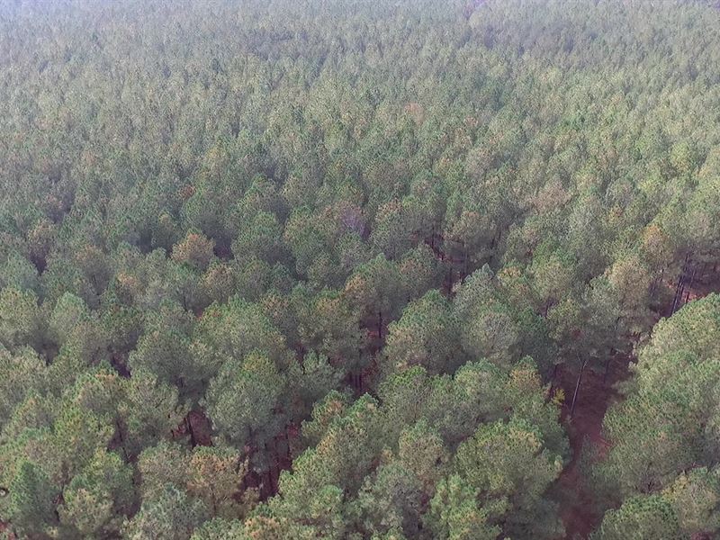 Kings Mountain, NC Acreage : Grover : Cleveland County : North Carolina