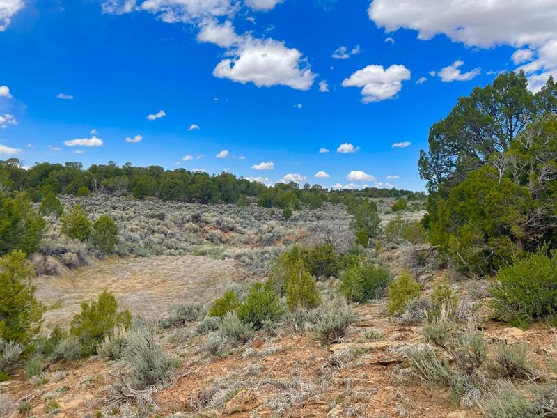 Baker Ranch : Dove Creek : Dolores County : Colorado