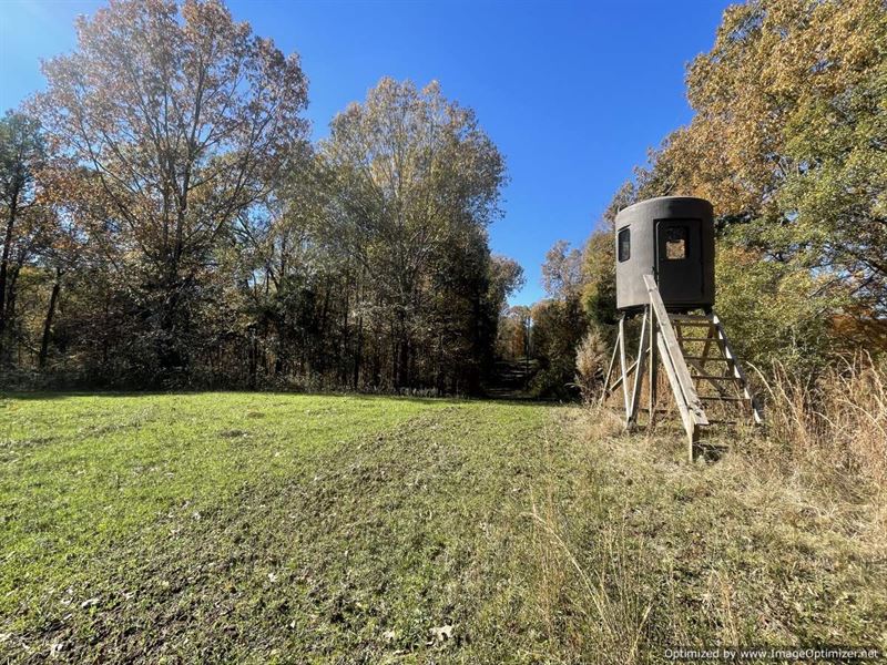 227 Acres of Hunting Land : Vicksburg : Warren County : Mississippi