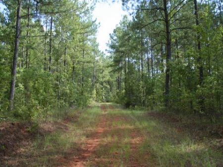 Gray Tract : Gray : Jones County : Georgia