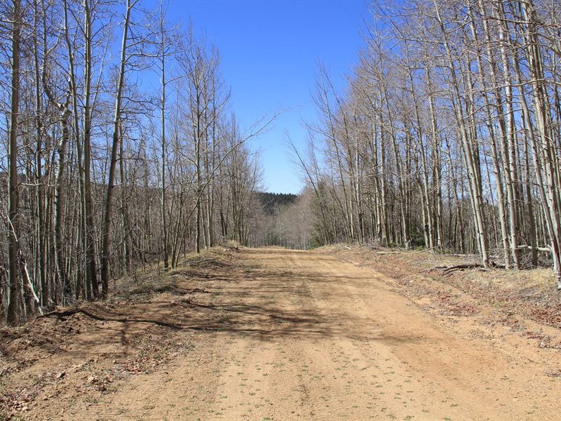 5.72 Acre Lot in Colorado, Farm for Sale by Owner in Colorado, 338700