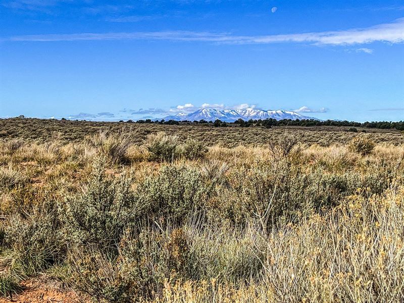 Dolores County Ranch : Dove Creek : Dolores County : Colorado