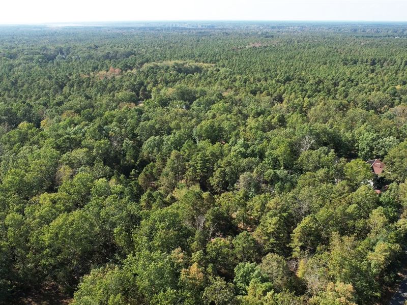 217K Sqft in Mullica Twp, NJ, Farm for Sale by Owner in New Jersey