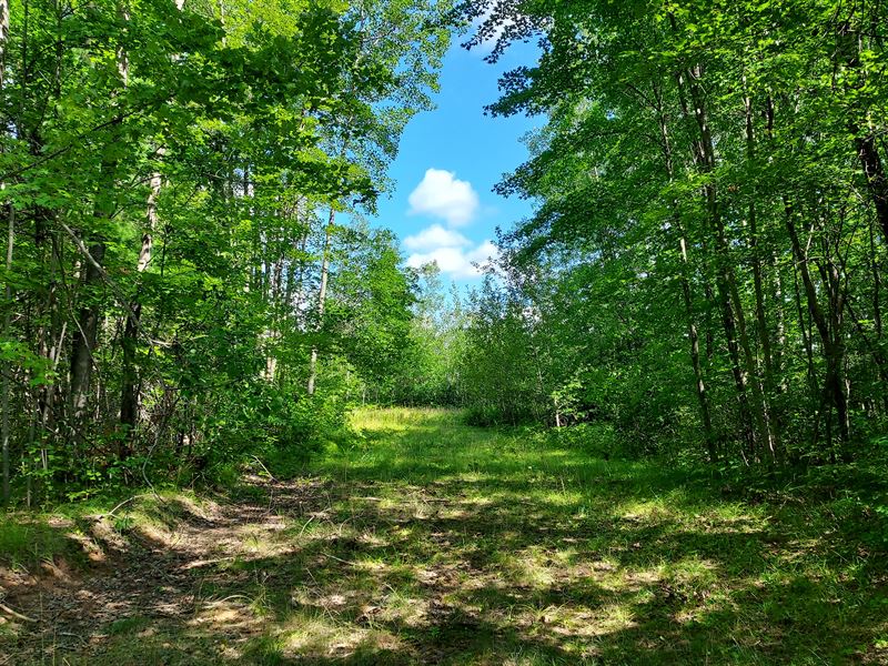 14 Acres to Hunt and Have Fun, Farm for Sale in Wisconsin, 338763