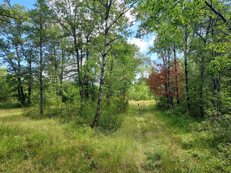 8 Acres Near The Menominee River, Farm for Sale in Wisconsin, 338764