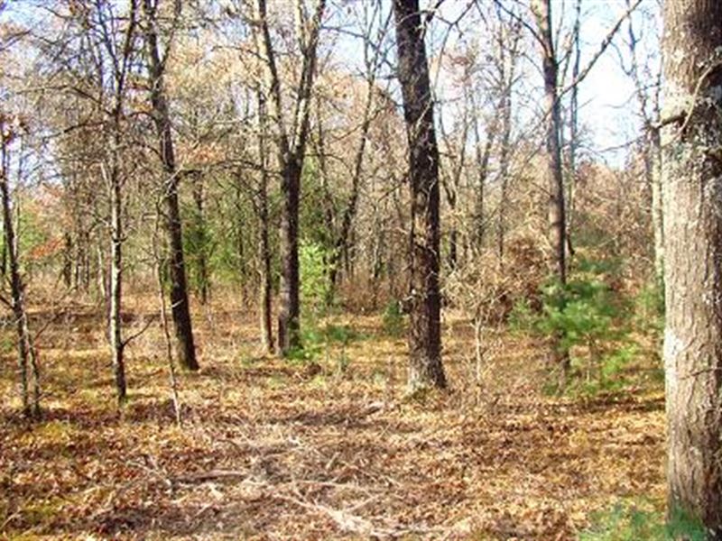 8 Acres Near Castle Rock Lake, Farm for Sale in Wisconsin, 338765 FARMFLIP