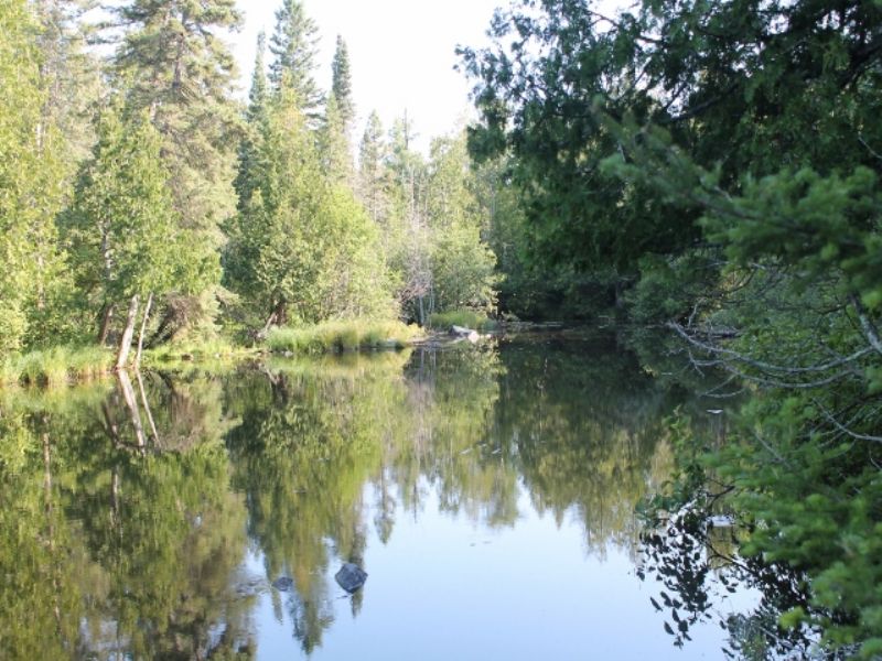 Tbd Old Beechwood Rd. Mls 1042362 : Iron River : Iron County : Michigan