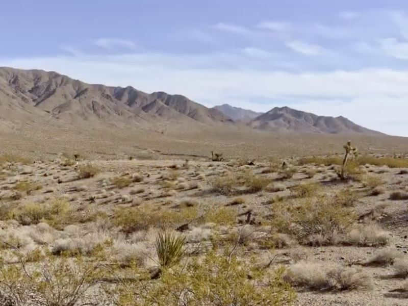 6 Acres of Beautiful Land, Farm for Sale by Owner in Arizona, 338854 FARMFLIP