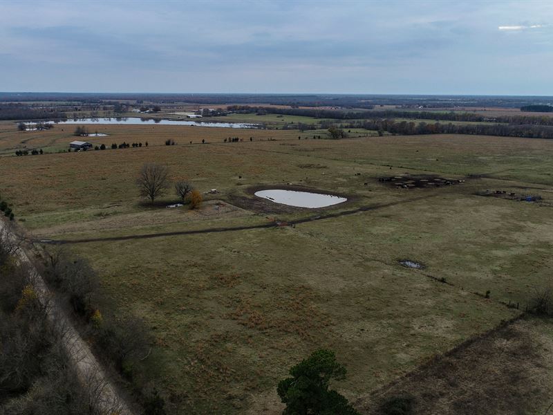 89 Acre Grazing Pasture : Clarksville : Red River County : Texas