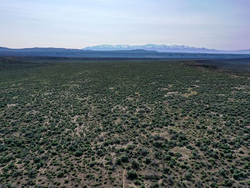 80 Acre Property in Elko County, NV : Elko : Elko County : Nevada