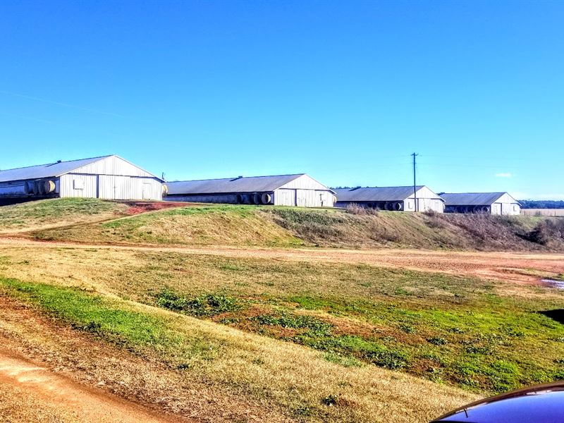 8 House Broiler Farm, Upson County : Thomaston : Upson County : Georgia