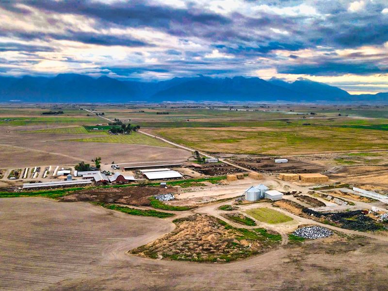 Montana Ranch & Dairy Farm, Farm for Sale by Owner in Montana, 339011