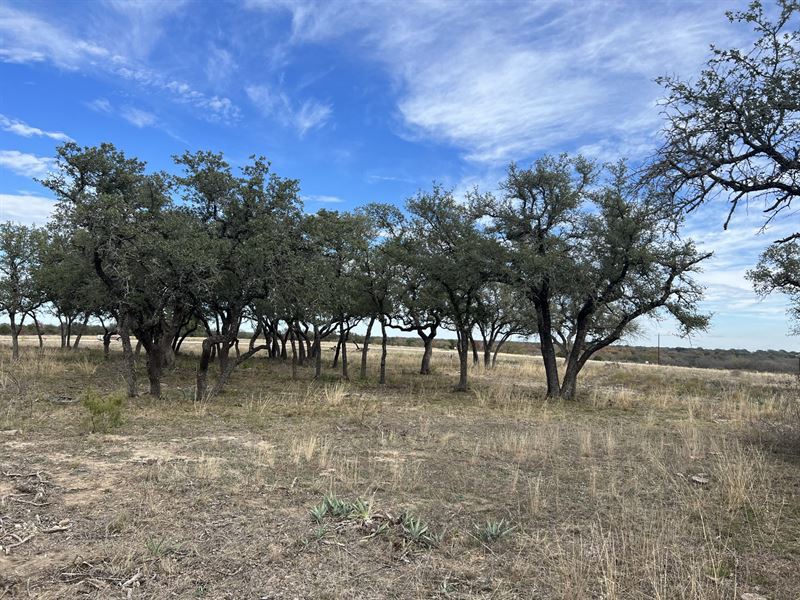 The Ranches at Pecan Valley, Lot 39, Farm for Sale in Texas, 339050