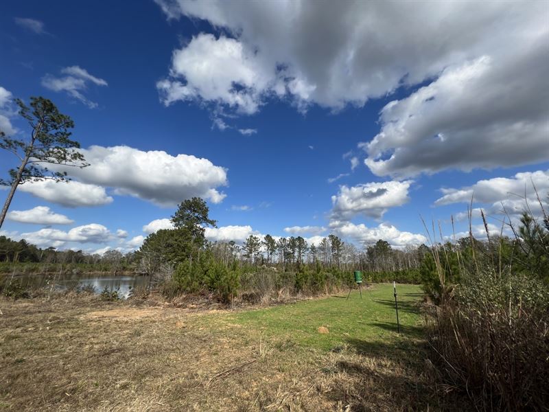 420 Ac, Montgomery Co : Grady : Montgomery County : Alabama
