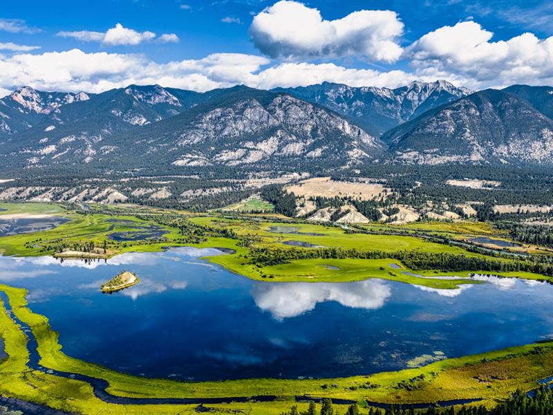 Wooded Land, Mountain & Water Views : Wilmer : British Columbia : Canada