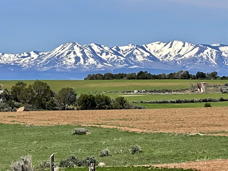 Canyon Land Ranch : Dove Creek : Dolores County : Colorado