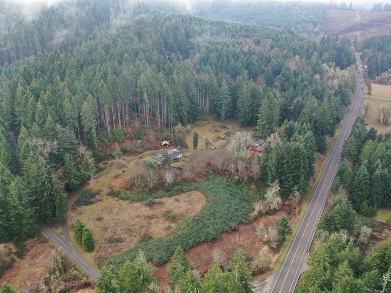 17.41 Acres Timbered Property/2 Lot, Farm for Sale in Oregon, 339571