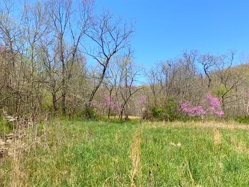 Owner Financed Acreage in MO : Rolla : Phelps County : Missouri