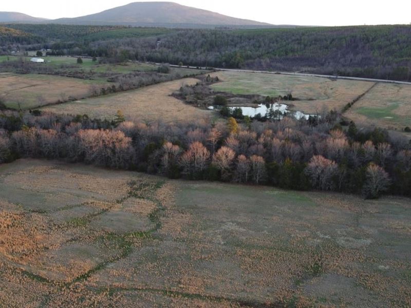 Freedom Creek 96 : Booneville : Scott County : Arkansas